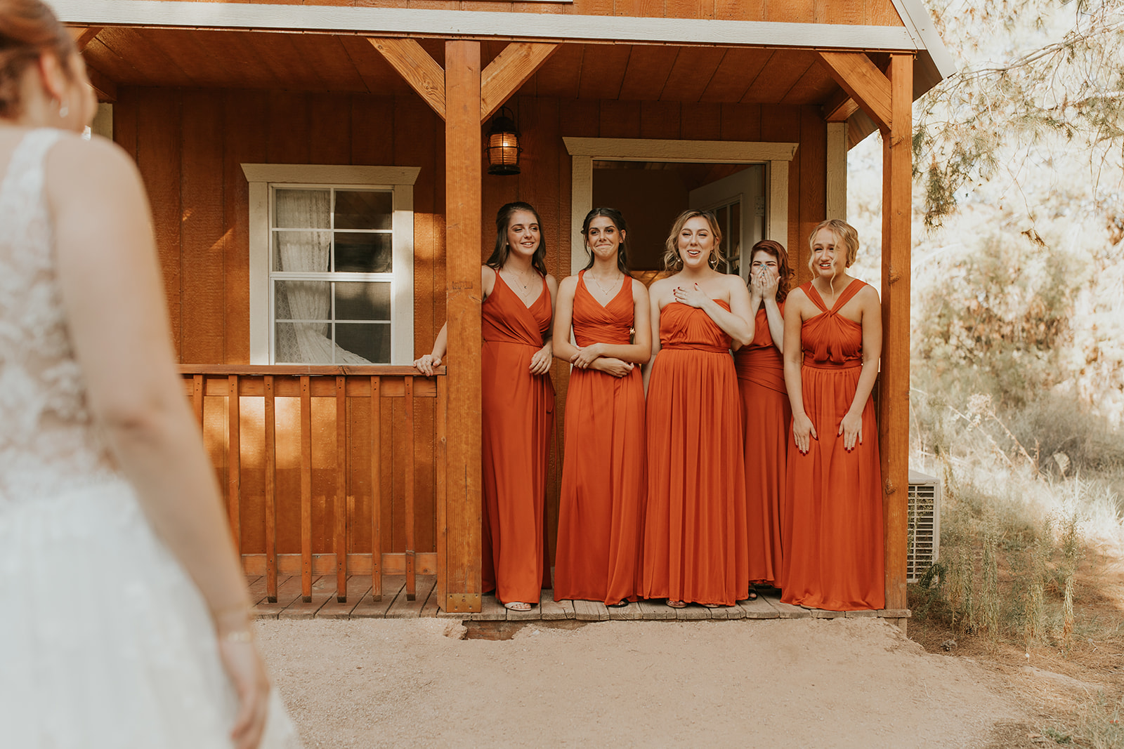 Wedding Dress Reveal to Bridesmaids